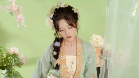 许我耀眼许妍龙舌兰